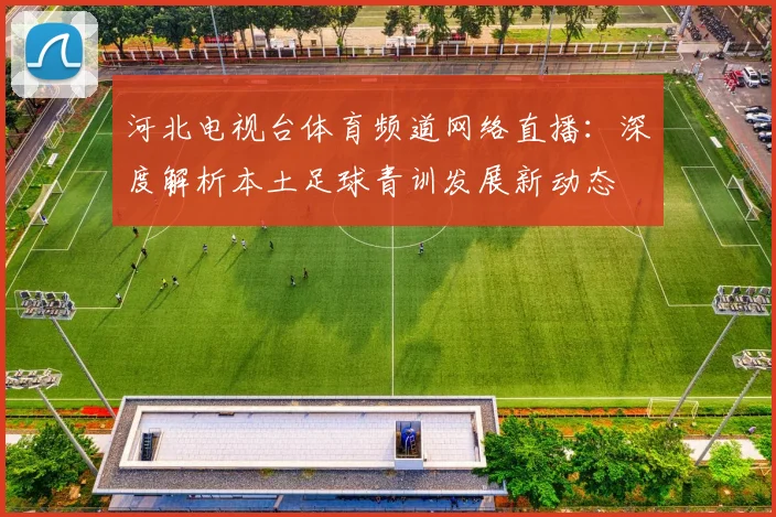 河北电视台体育频道网络直播：深度解析本土足球青训发展新动态