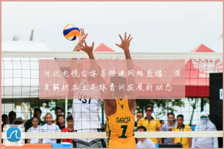 河北电视台体育频道网络直播:深度解析本土足球青训发展新动态