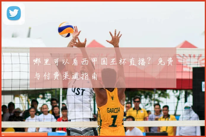 哪里可以看西甲国王杯直播？免费与付费渠道指南