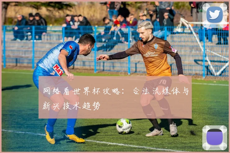 网络看世界杯攻略：合法流媒体与新兴技术趋势