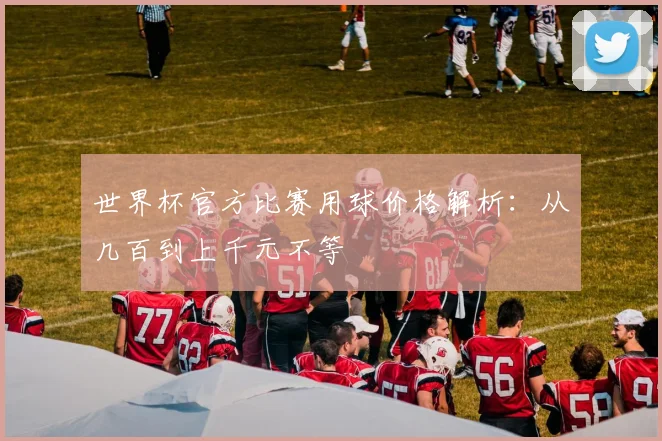 世界杯官方比赛用球价格解析：从几百到上千元不等