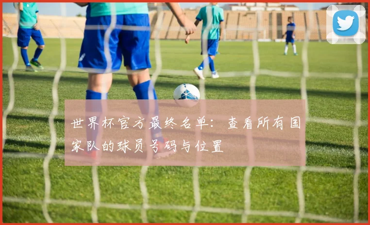世界杯官方最终名单：查看所有国家队的球员号码与位置