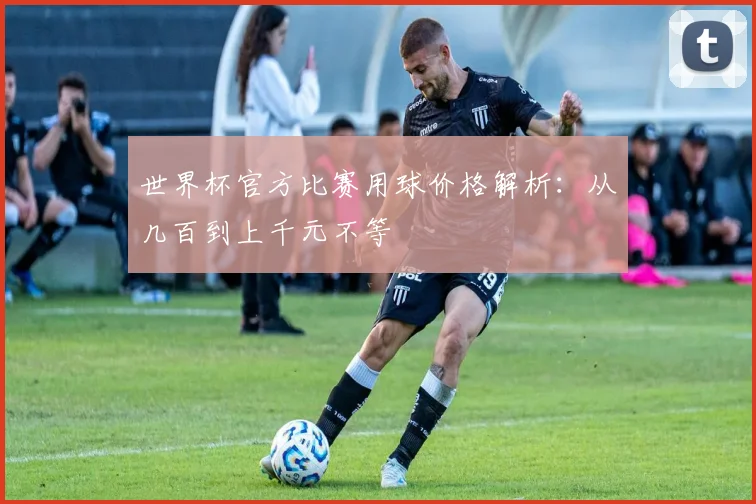 世界杯官方比赛用球价格解析：从几百到上千元不等