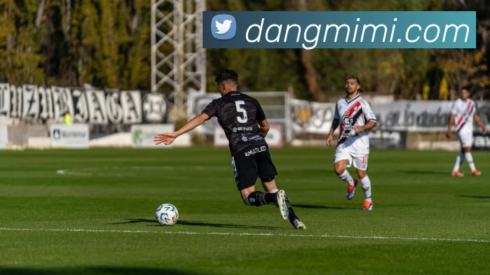 奇异果体育官网APP 封面图